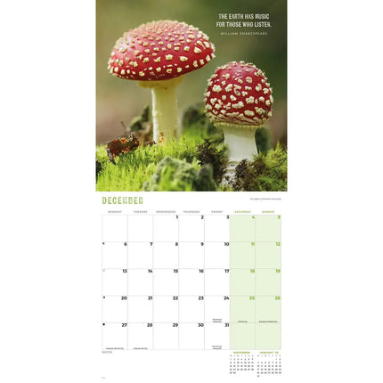 CarouselCalendars Paddenstoelen Kalender 2027