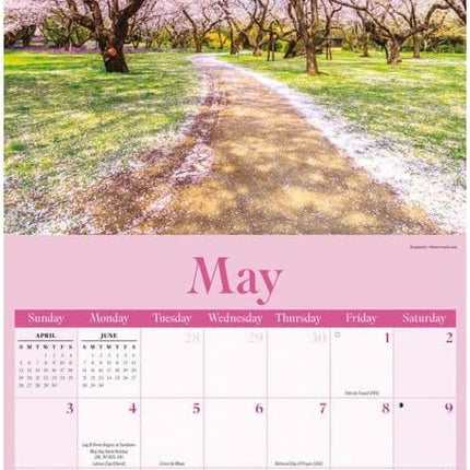 CarouselCalendars Paths To God Kalender 2026