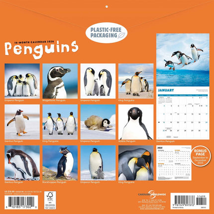 CarouselCalendars Pinguïns Kalender 2026