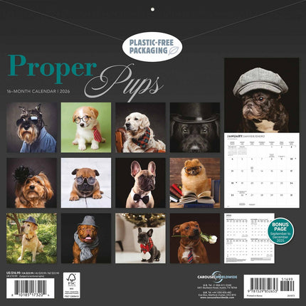 CarouselCalendars Proper Puppies Kalender 2026