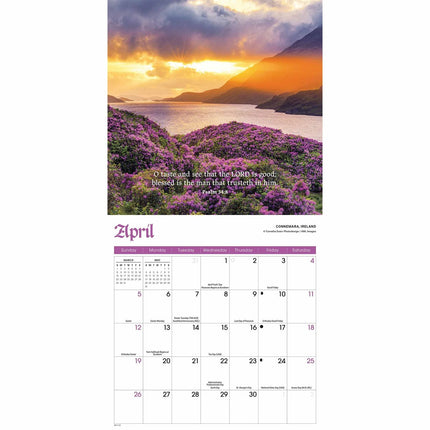 CarouselCalendars Psalms Kalender 2026 Mini