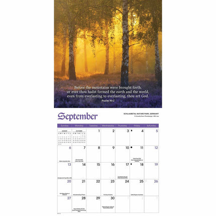CarouselCalendars Psalms Kalender 2026 Mini