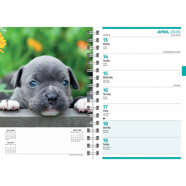 CarouselCalendars Puppies A5 Agenda 2026