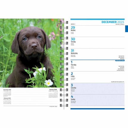 CarouselCalendars Puppies A5 Agenda 2026