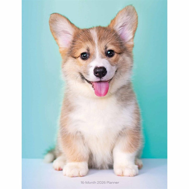 CarouselCalendars Puppies A5 Agenda 2026