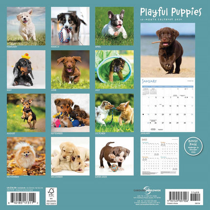 CarouselCalendars Puppies Kalender 2026