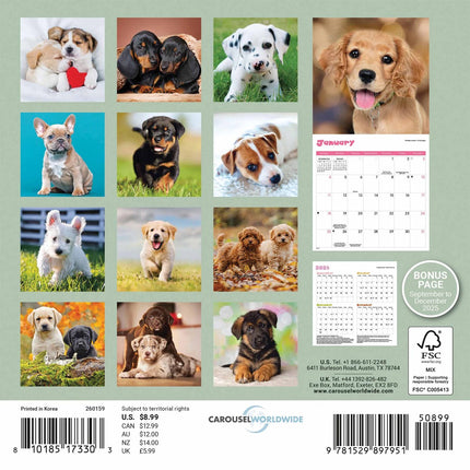CarouselCalendars Puppies Mini Kalender 2026