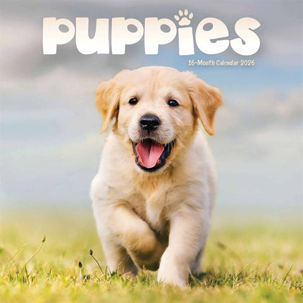 CarouselCalendars Puppies Mini Kalender 2026
