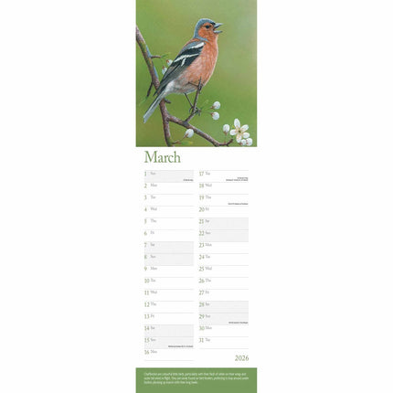 CarouselCalendars Robert Fuller British Wildlife Kalender 2026 Slimline