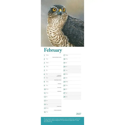 CarouselCalendars Robert Fuller British Wildlife Kalender 2027 Slimline