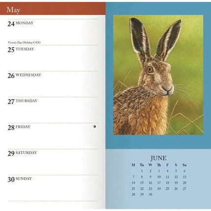 CarouselCalendars Robert Fuller Wildlife Slim Agenda 2027