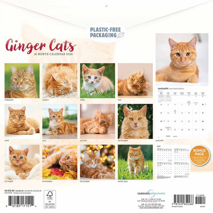 CarouselCalendars Rode Katten Kalender 2026