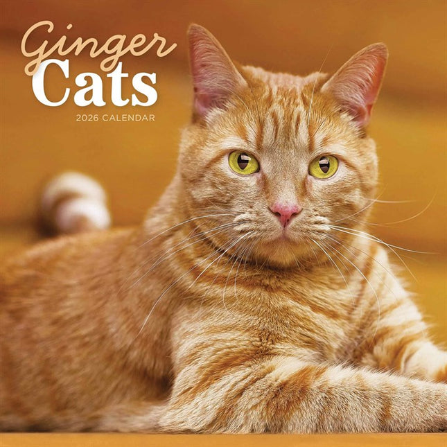 CarouselCalendars Rode Katten Kalender 2026