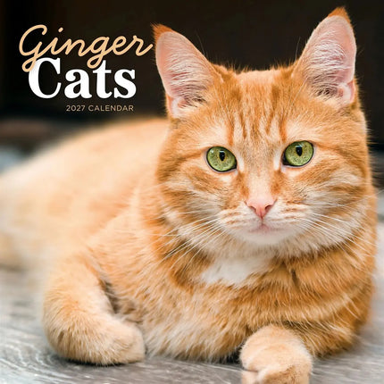CarouselCalendars Rode Katten Kalender 2027