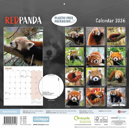 CarouselCalendars Rode Panda Kalender 2026