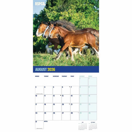 CarouselCalendars RSPCA, Britse Paarden en Pony's Kalender 2027
