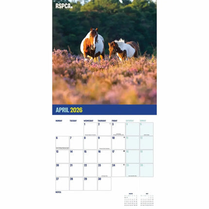 CarouselCalendars RSPCA, Britse Paarden en Pony's Kalender 2027