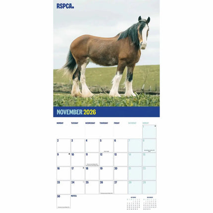 CarouselCalendars RSPCA, Britse Paarden en Pony's Kalender 2027