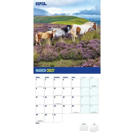 CarouselCalendars RSPCA, Britse Paarden en Pony's Kalender 2027