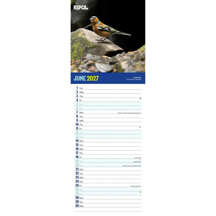 CarouselCalendars RSPCA, Britse Wildlife Slim Kalender 2026