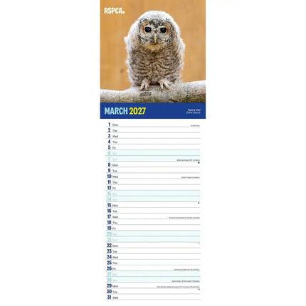 CarouselCalendars RSPCA, Britse Wildlife Slim Kalender 2027