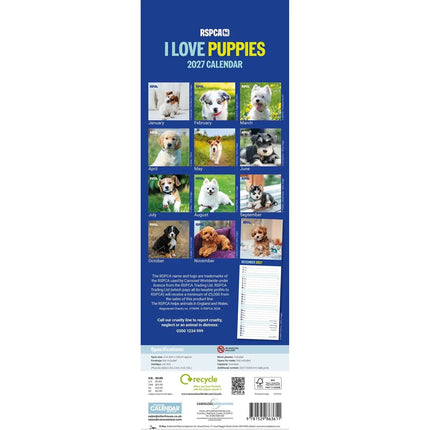 CarouselCalendars RSPCA, I Love Puppies Slim kalender 2027