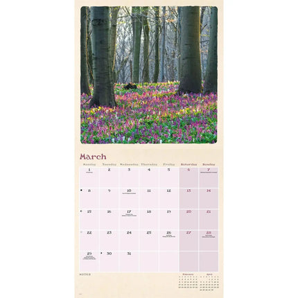 CarouselCalendars Scenic Woodland Kalender 2027