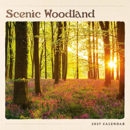 CarouselCalendars Scenic Woodland Kalender 2027