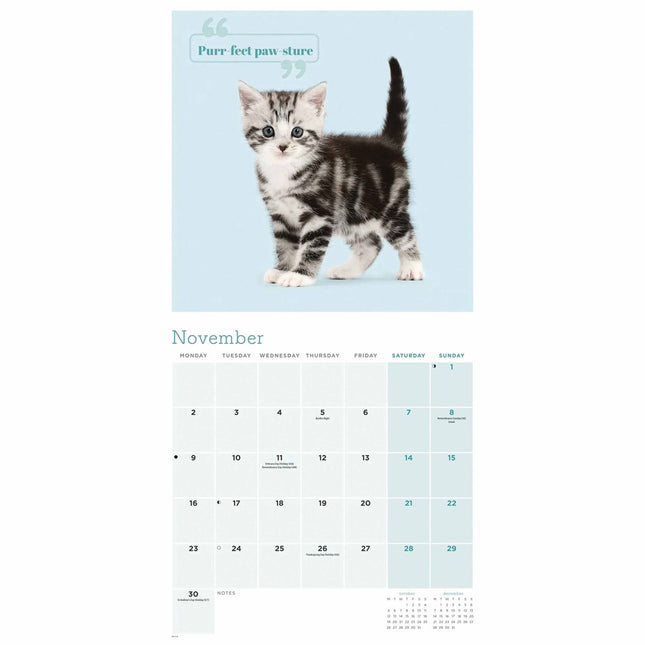 CarouselCalendars Schattige Katten Kalender 2026