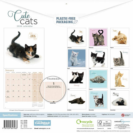 CarouselCalendars Schattige Katten Kalender 2026