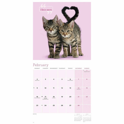 CarouselCalendars Schattige Katten Kalender 2026