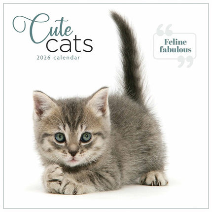 CarouselCalendars Schattige Katten Kalender 2026
