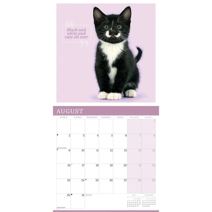 CarouselCalendars Schattige Katten Kalender 2027