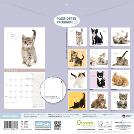 CarouselCalendars Schattige Katten Kalender 2027