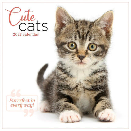 CarouselCalendars Schattige Katten Kalender 2027