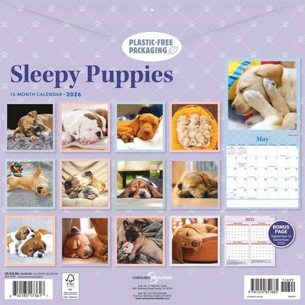 CarouselCalendars Slapende Puppies Kalender 2026