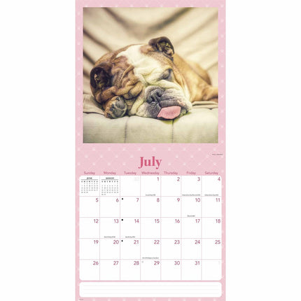 CarouselCalendars Slapende Puppies Kalender 2026