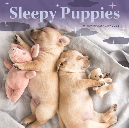 CarouselCalendars Slapende Puppies Mini Kalender 2026