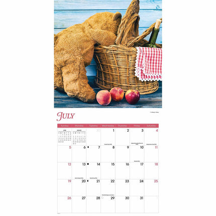 CarouselCalendars Teddyberen Kalender 2026