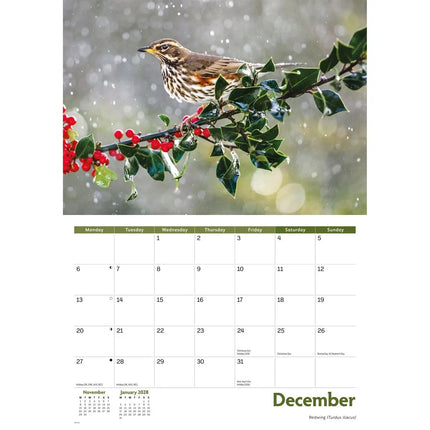 CarouselCalendars Tuinvogels A4 Kalender 2027
