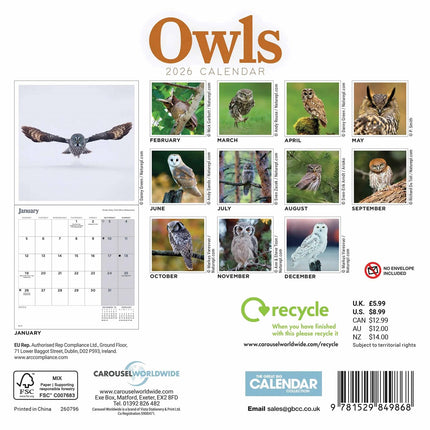 CarouselCalendars Uilen Kalender 2026 Mini