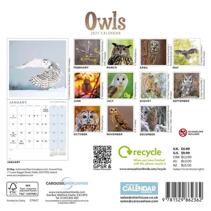 CarouselCalendars Uilen Kalender 2027 Mini