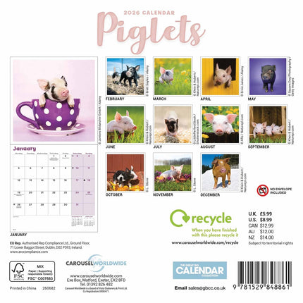 CarouselCalendars Varken Kalender 2027 Mini