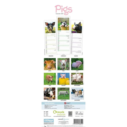 CarouselCalendars Varkens Kalender Slimline 2027