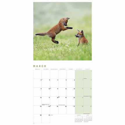 CarouselCalendars Vossen Kalender 2026
