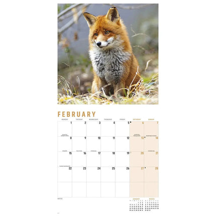 CarouselCalendars Vossen Kalender 2027