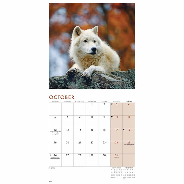 CarouselCalendars Wolven Kalender 2026 Mini