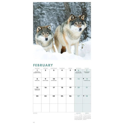 CarouselCalendars Wolven Kalender 2027 Mini