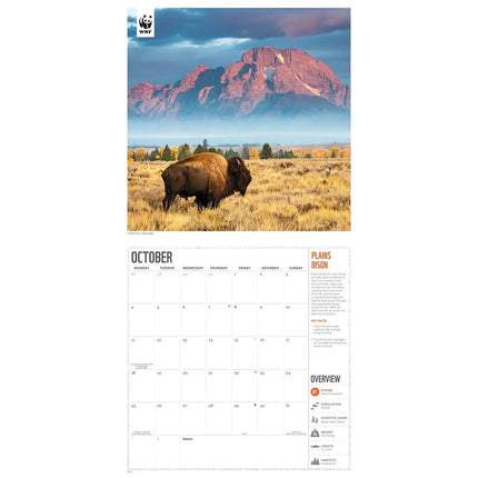 CarouselCalendars WWF Amazing Wildlife Kalender 2027