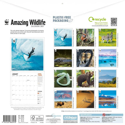 CarouselCalendars WWF Amazing Wildlife Kalender 2027